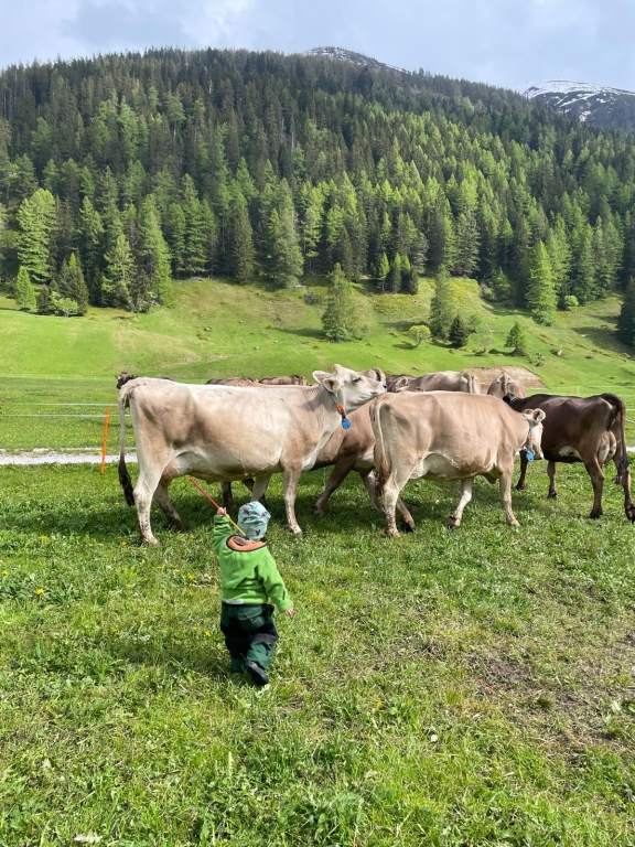 Kind am Kühe holen